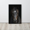 Beautiful black horse on a black background – Art canvas 20″×30″ (Thin Canvas)